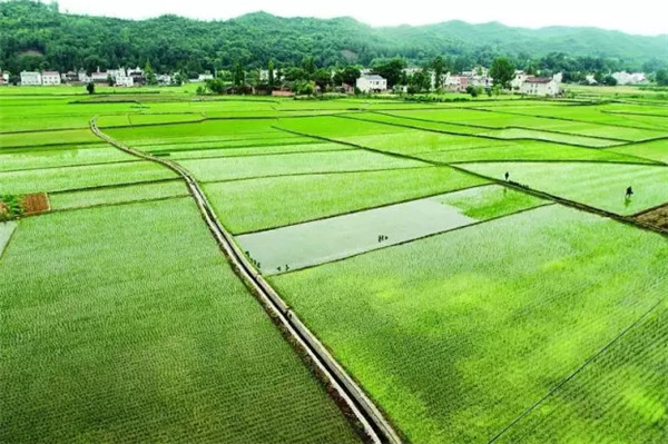 西安水肥一體化設備廠家